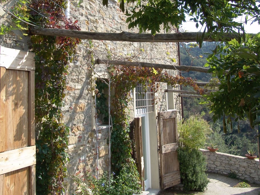 In a medieval village.