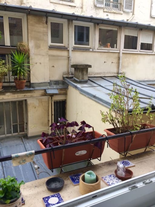Vue sur cour