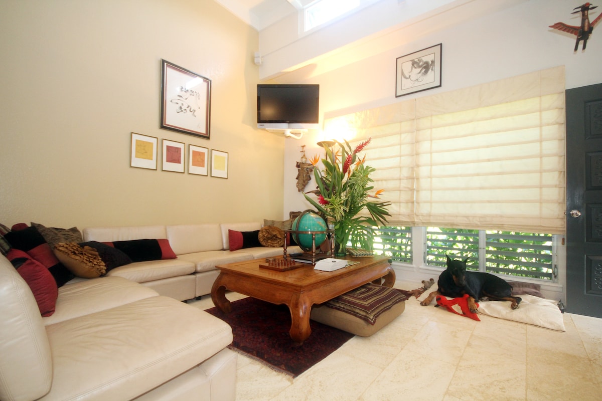 The living area is adorned with a neutral-colored sectional sofa and a large wooden coffee table, complemented by vibrant decorative pillows. A flat-screen television is mounted on the wall, while natural light enters through window treatments that filter the light, enhancing the space. A calm dog rests nearby.
