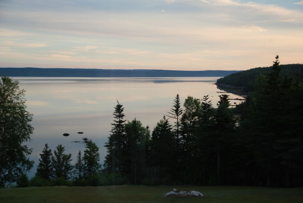Peaceful shoreline