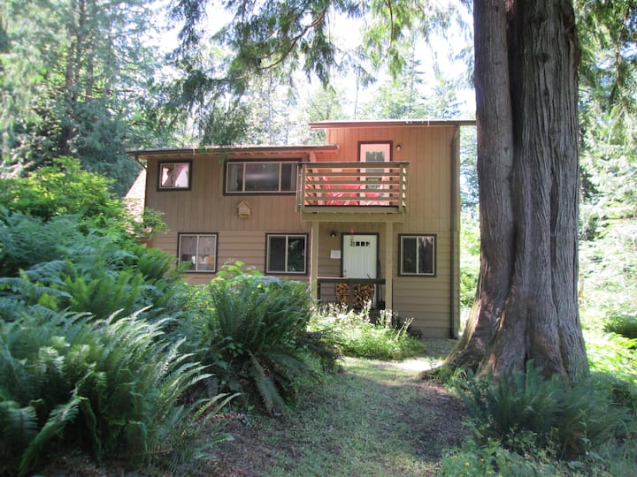 Unique and private cabin with a mountain view. Cabins for Rent in