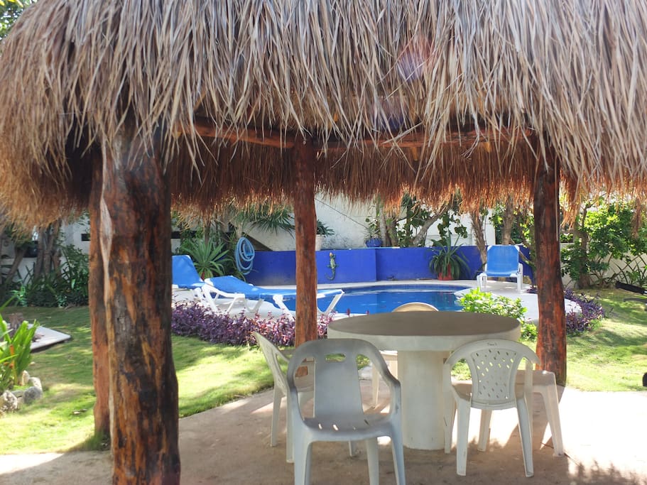 Palapa
