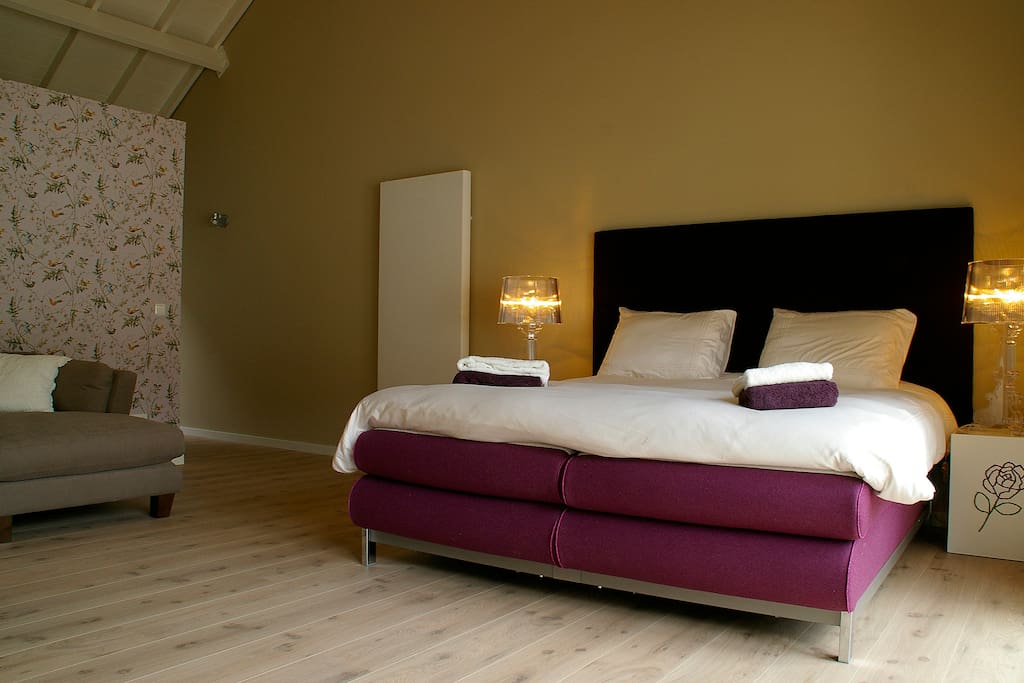 Pillows suite