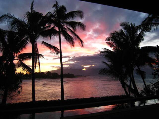 Oceanfront with pool & hot-tub gallery image 5