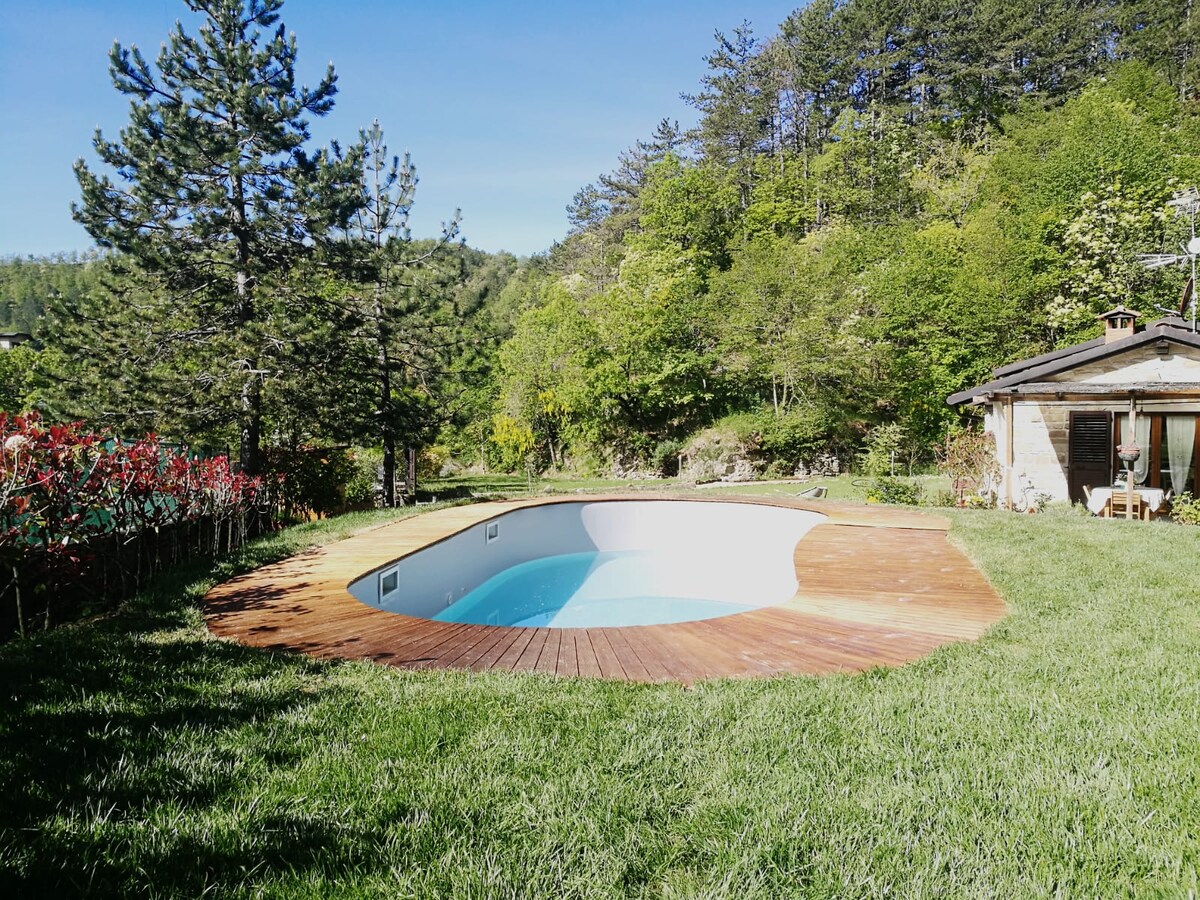 A well-maintained swimming pool is set within a wooden deck, surrounded by lush green grass and landscaping. The serene natural environment is enhanced by tall trees and shrubs in the background, providing a peaceful escape for relaxation.