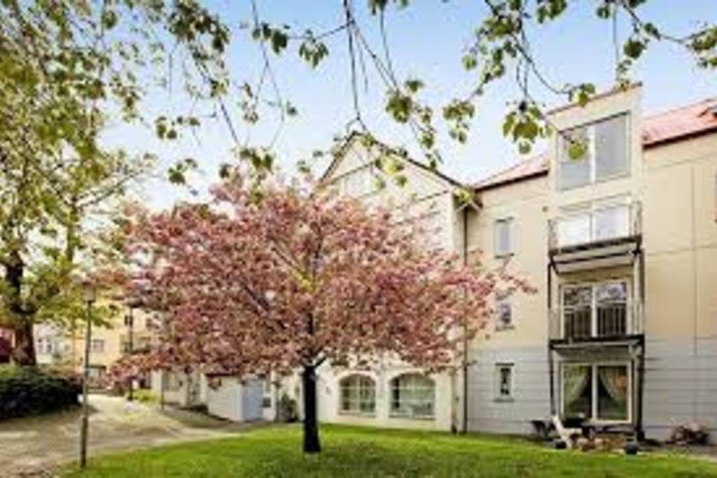 Hyggelig og rolig bakgård, selv om leiligheten ligger midt i sentrum merker man ingen ting til støy
