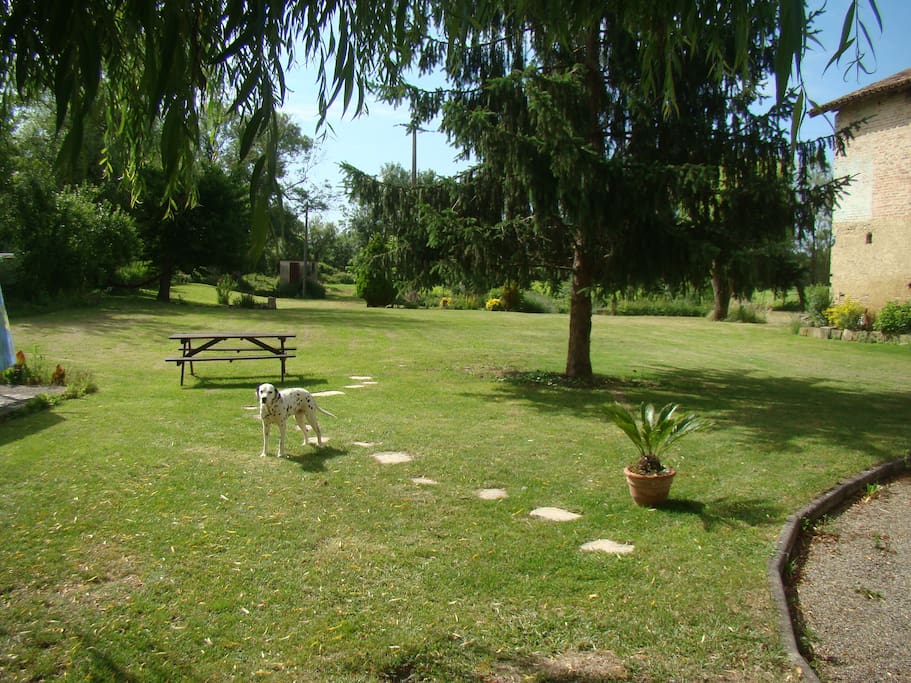 Le Moulin de Roquefort, le Parc