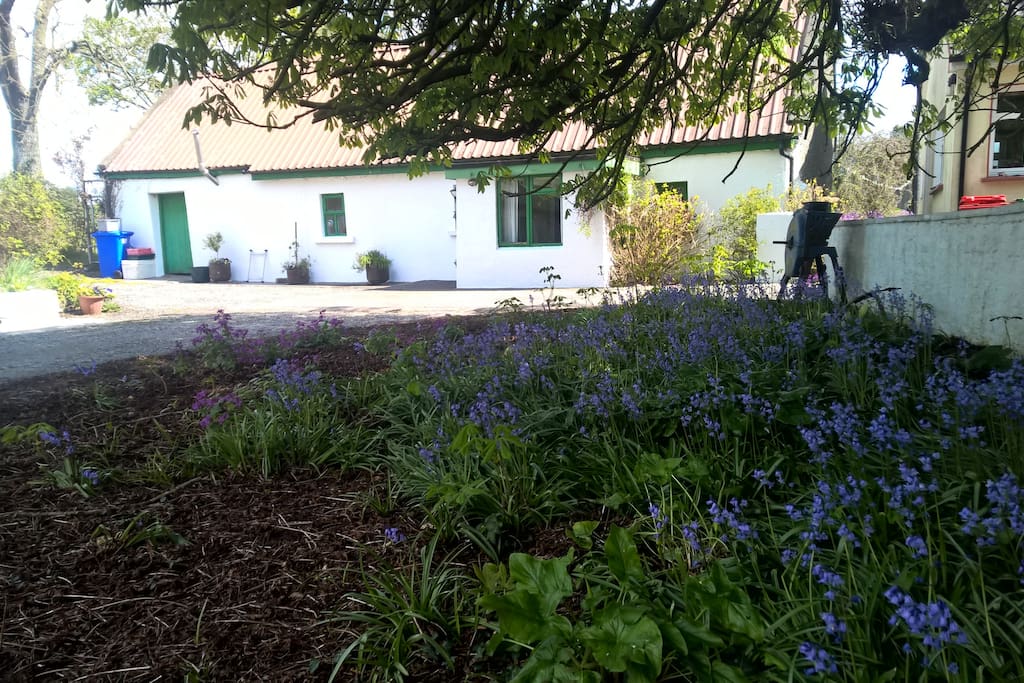 Springtime at the Chestnut Cottage