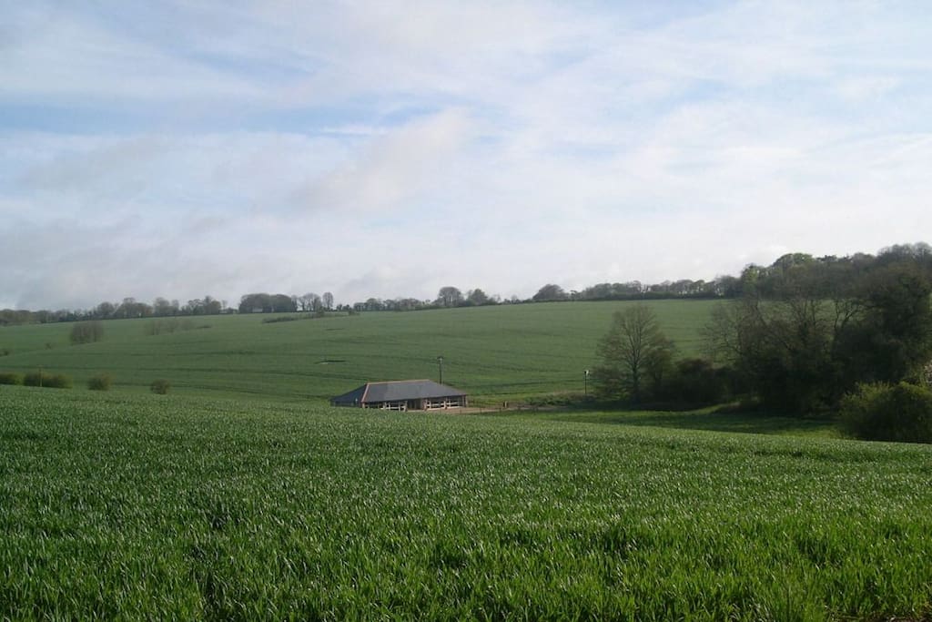 View of Dines Barn from the South