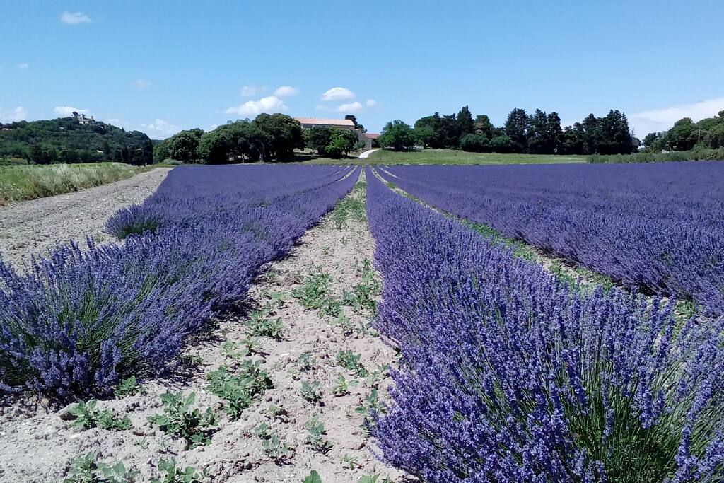 montsegur sur lauzon