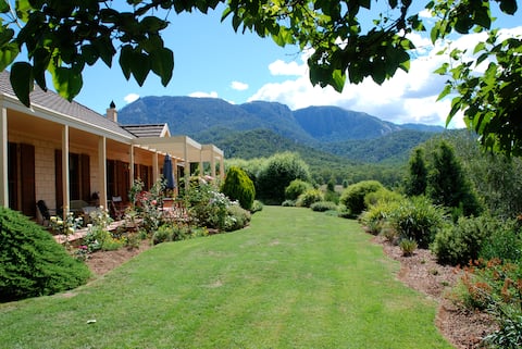 Spectacular Mt Buffalo views from hazelnut farm