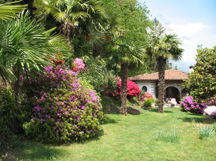 südlicher Gartenbereich mit Sonnenterrasse