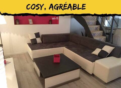 Pleasant duplex in downtown Brioude