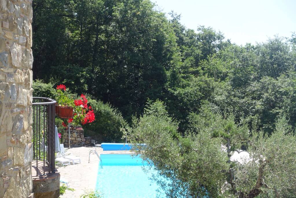 Swimming Pool 5 x 12 meter