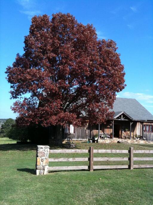 Fall colors