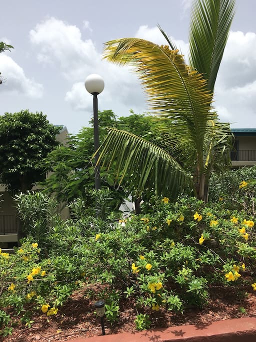Sapphire Village boasts beautifully landscaped grounds...