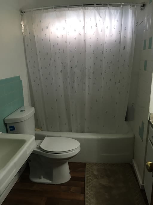 Bath has a full shower and tub combo with an ADA toilet. It is a shared bathroom with the rest of the house.