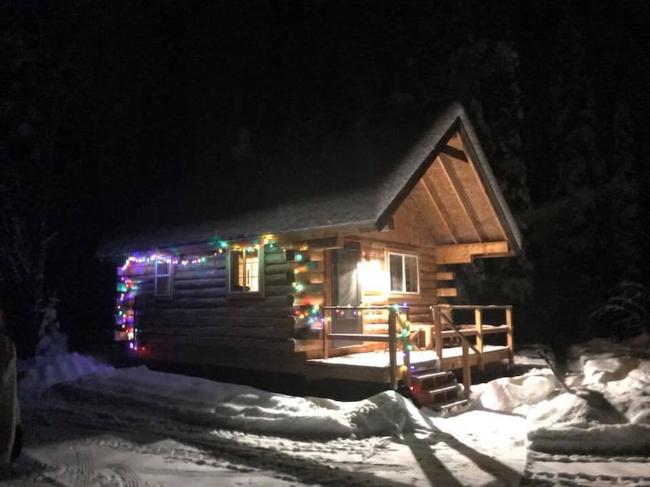 Christmas lights and snow!