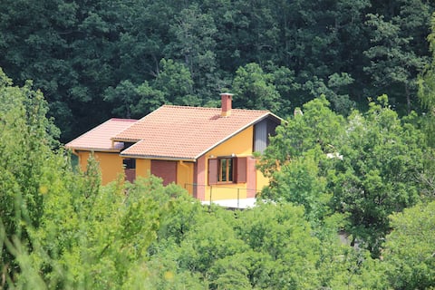 House on Village