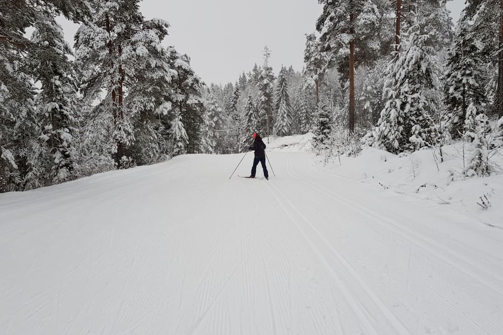 Crosscountry skiing slopes 5 min walk