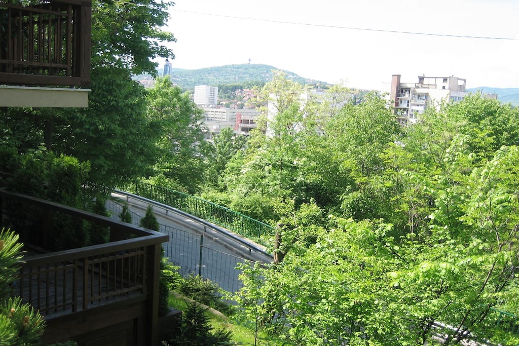 View from the upper garden