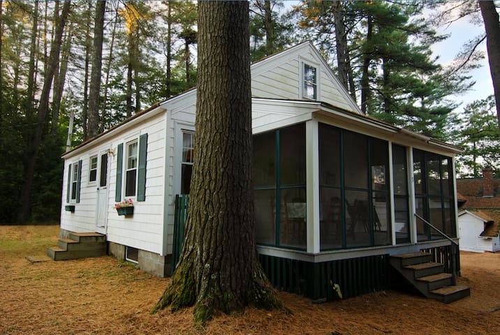 Lake Winnipesaukee Cabin 3 Cottages For Rent In Moultonborough