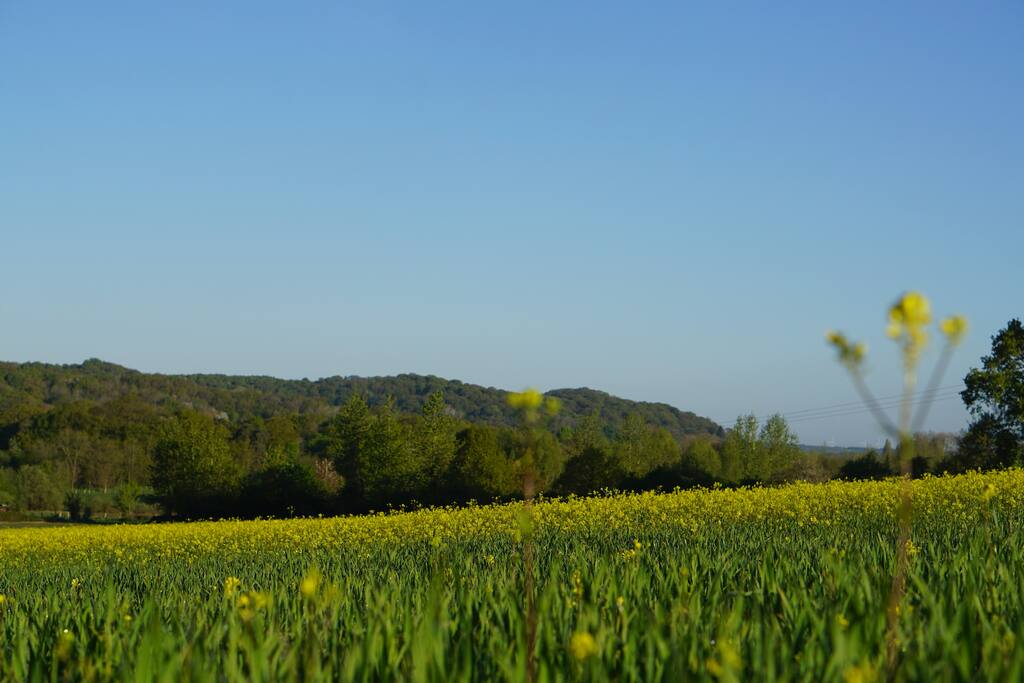 campagne de Brie