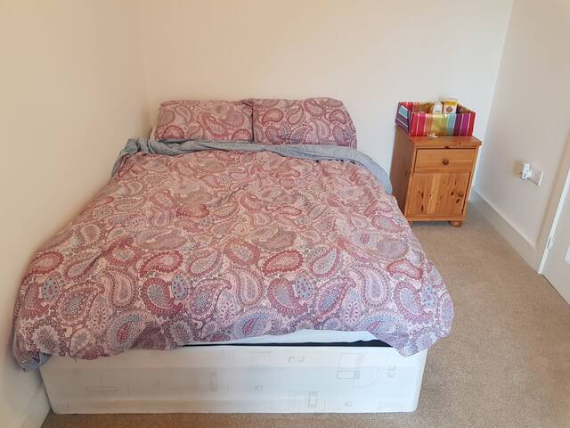 Spare room needs a sleep buddy
