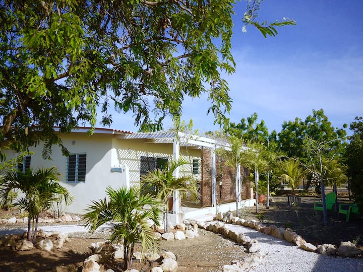 10 Best LongTerm Rentals In Bonaire, Caribbean Netherlands Updated