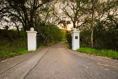 Wine Country Corporate Retreat