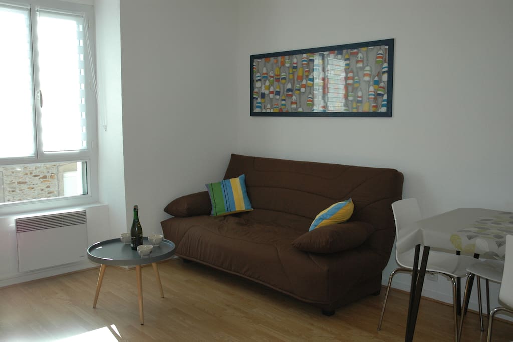 Coin salon avec canapé lit 140/190 + tv