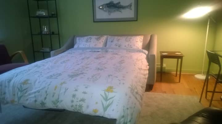 Kauč na razvlačenje u dnevnom boravku