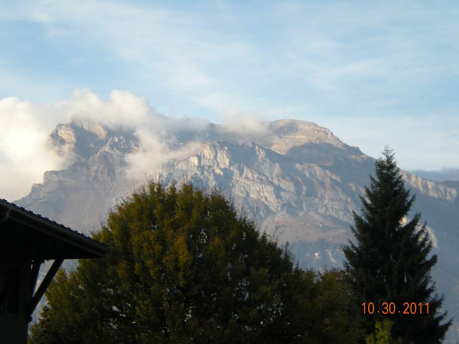 Il pamorama