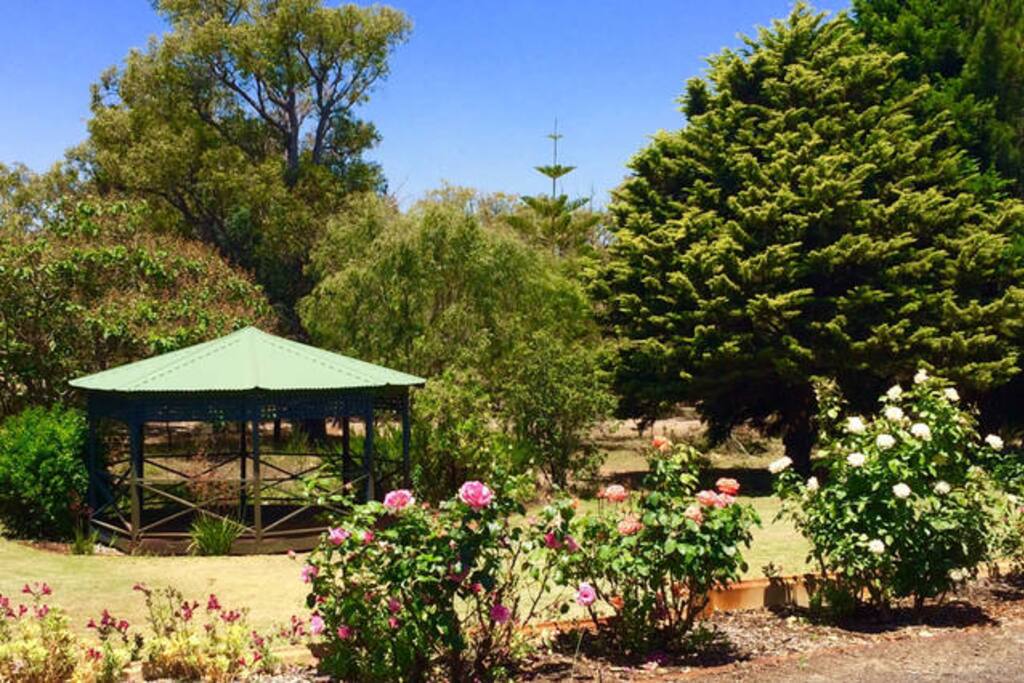 Roses and lawn with shady yoga space.