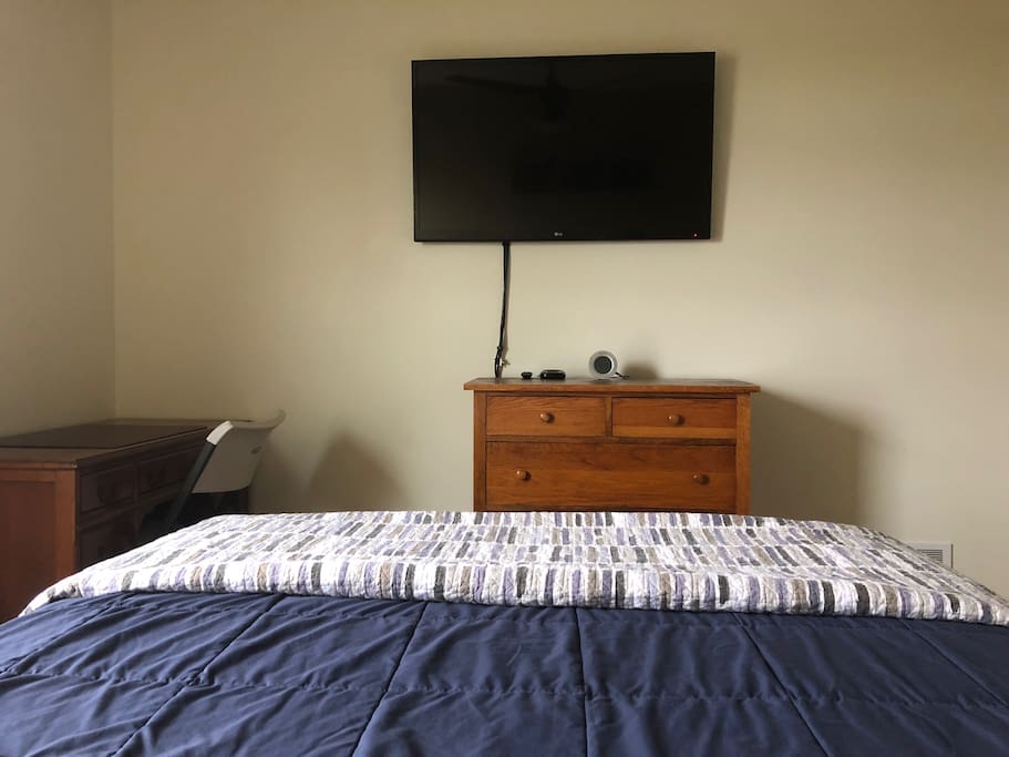 Wall mounted 50-inch TV with attached Roku.