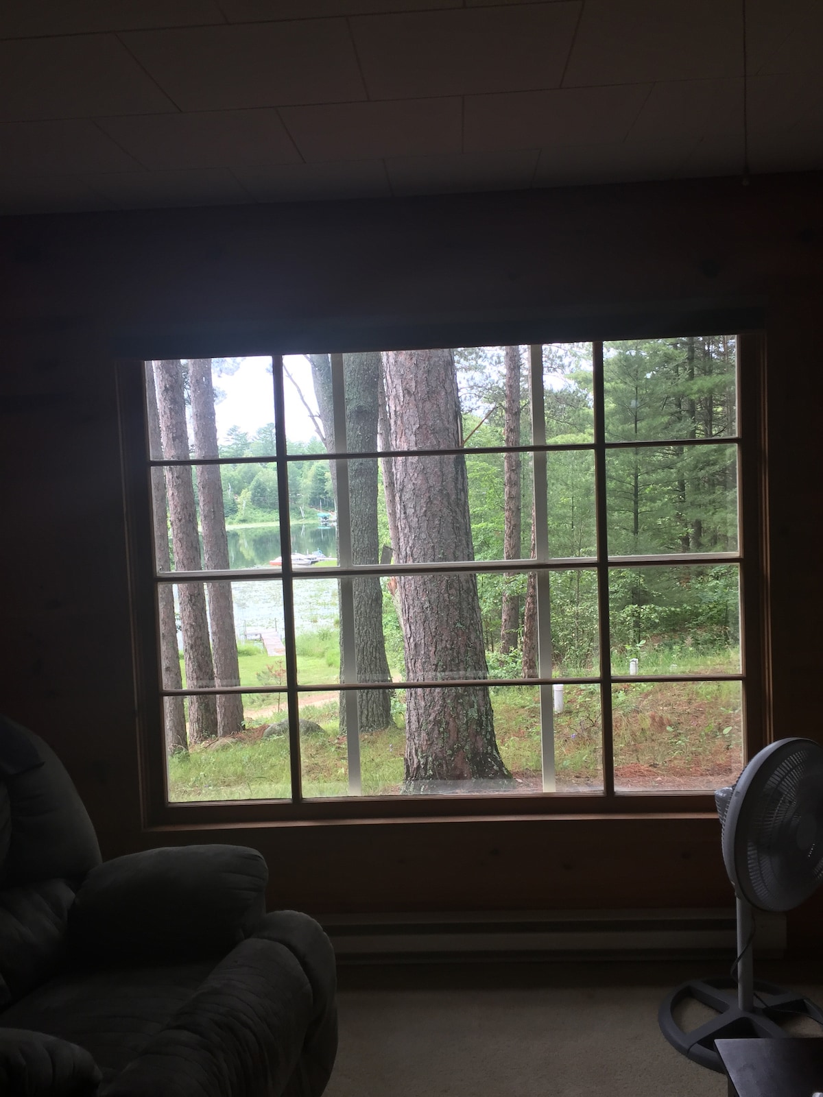 A large window with multiple panes offers a view of tall trees and a serene lakeside scene. Soft natural light filters through, illuminating the interior space, while a fan sits nearby, enhancing comfort within the cabin.