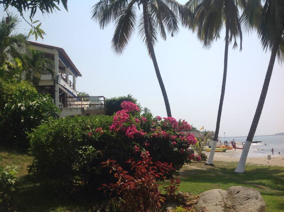 View from the beach