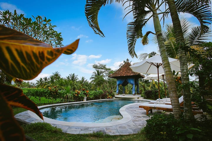 Rumah Capung Ubud Full Resort (3 Villas) Villas for Rent in Ubud