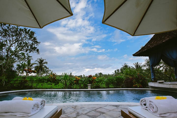 Rumah Capung Ubud Full Resort (3 Villas)