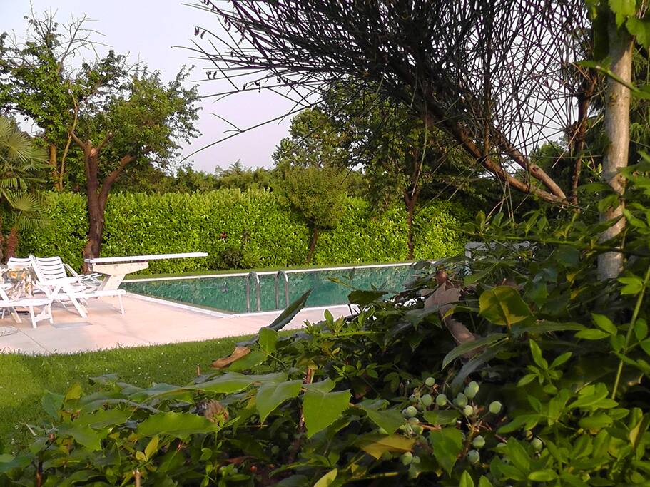 Piscina/Swimming Pool
