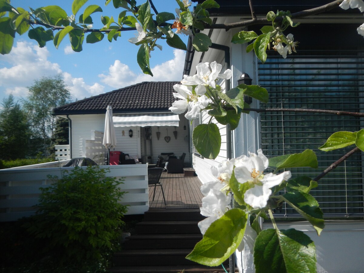 Blossoming branches frame a view of a house with a dark roof and white siding. A shaded outdoor seating area with a table and chairs is visible on a wooden deck, surrounded by green foliage and bright skies.
