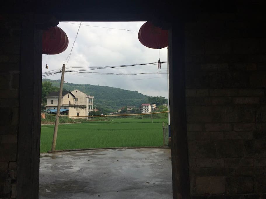 大槽门外是绿色的水稻田。(Outside the first door, is the rice paddy field)