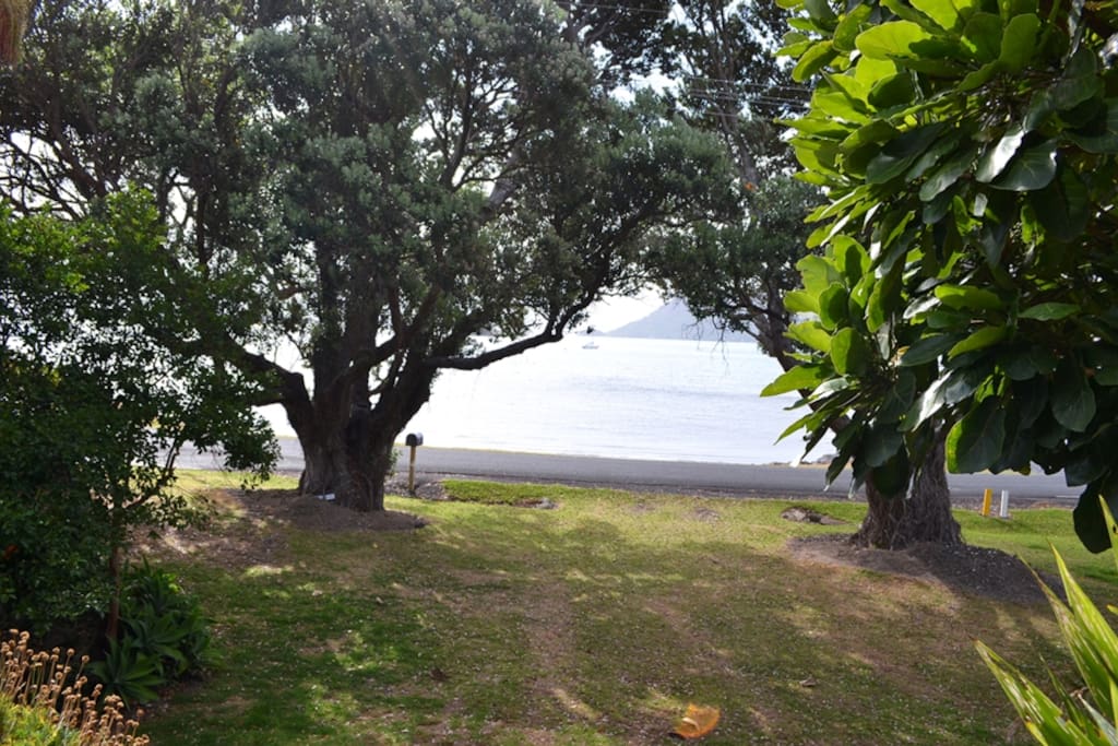 View of beach