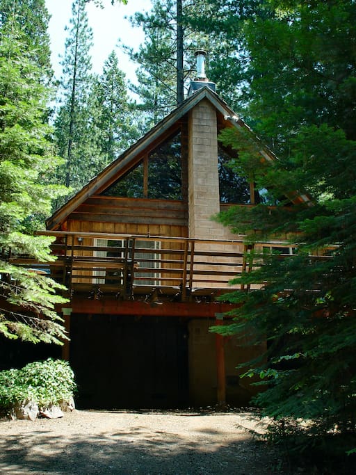 Peaceful Cabin Bordering Nat'l Forest - Cabins for Rent in ...