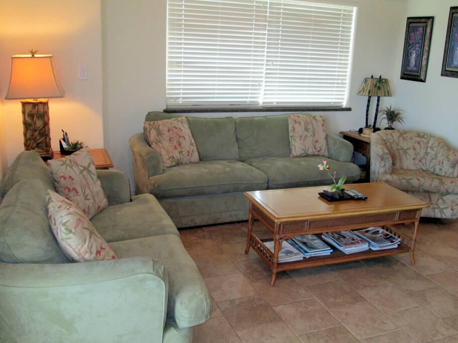 Living Room View 2