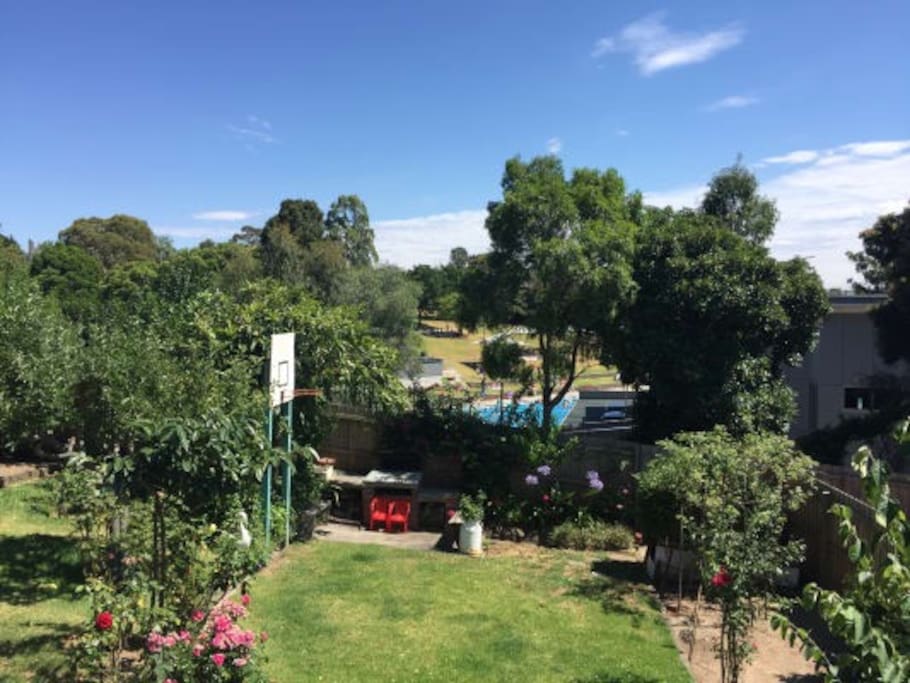 Nearby pool! Big backyard with BBQ and beautiful birds.
