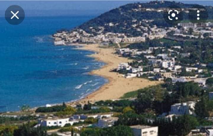 الصورة رقم 1 لـ لا