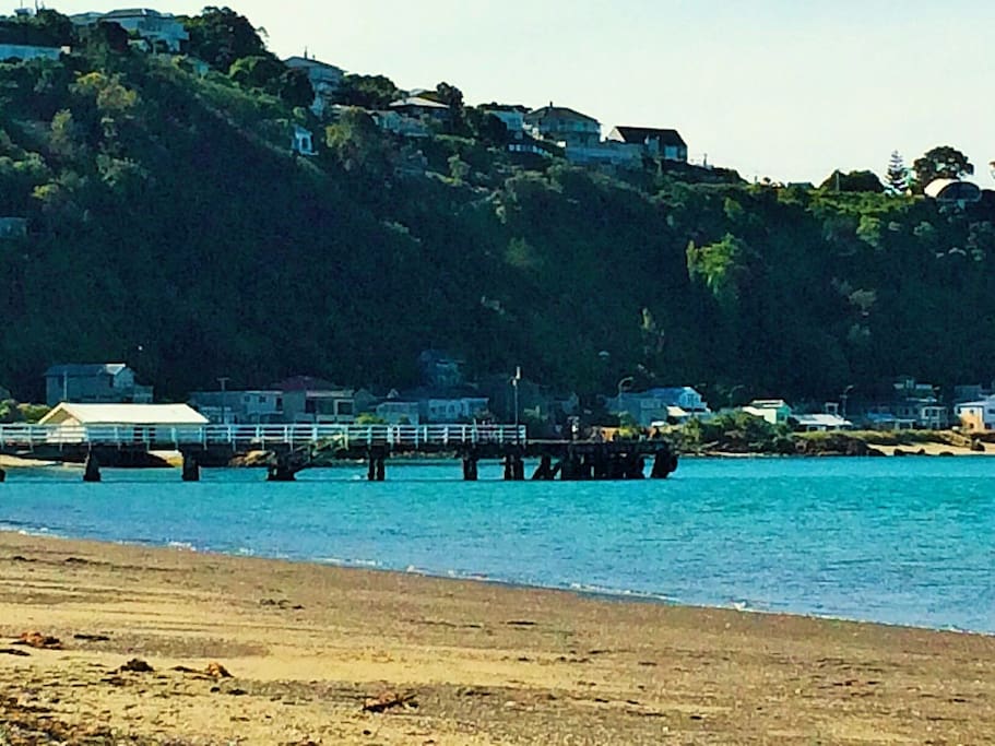 Sunny 4bed home by Seatoun beach Houses for Rent in Wellington