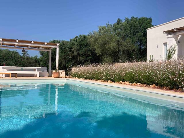Beautiful home set amongst olive groves of Puglia gallery image 2