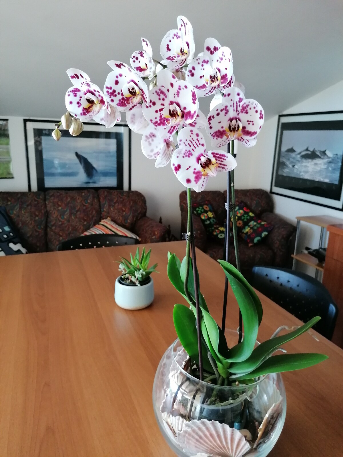 Annonce Airbnb populaire: Penthouse with ocean view à Martinsicuro